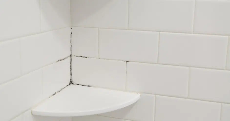 איך לנקות עובש במקלחת ובאמבטיה?