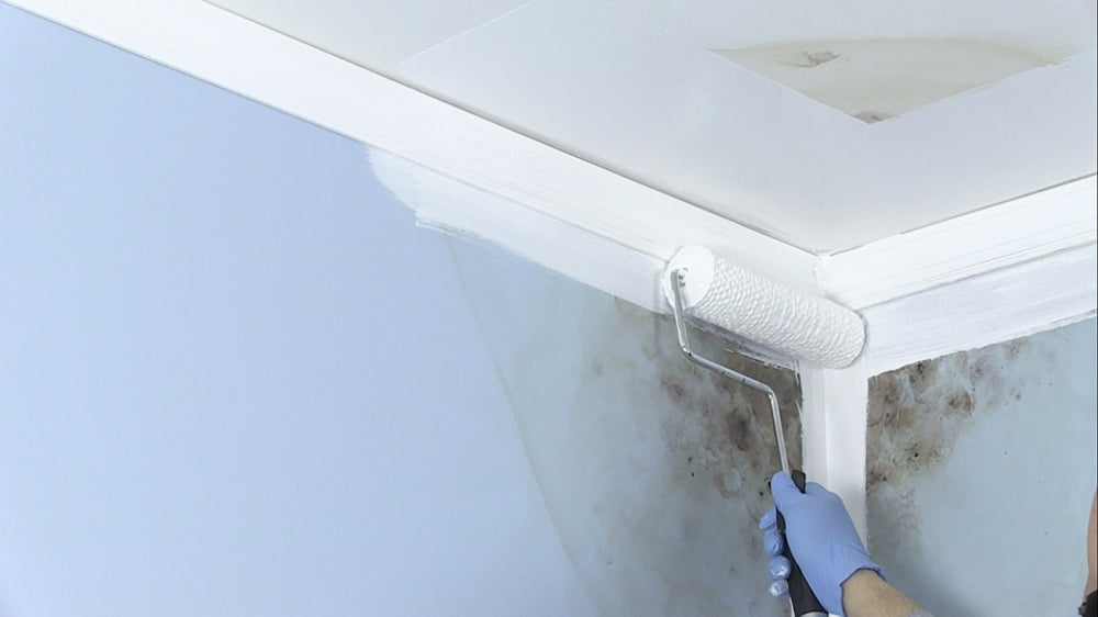 איך לנקות עובש?