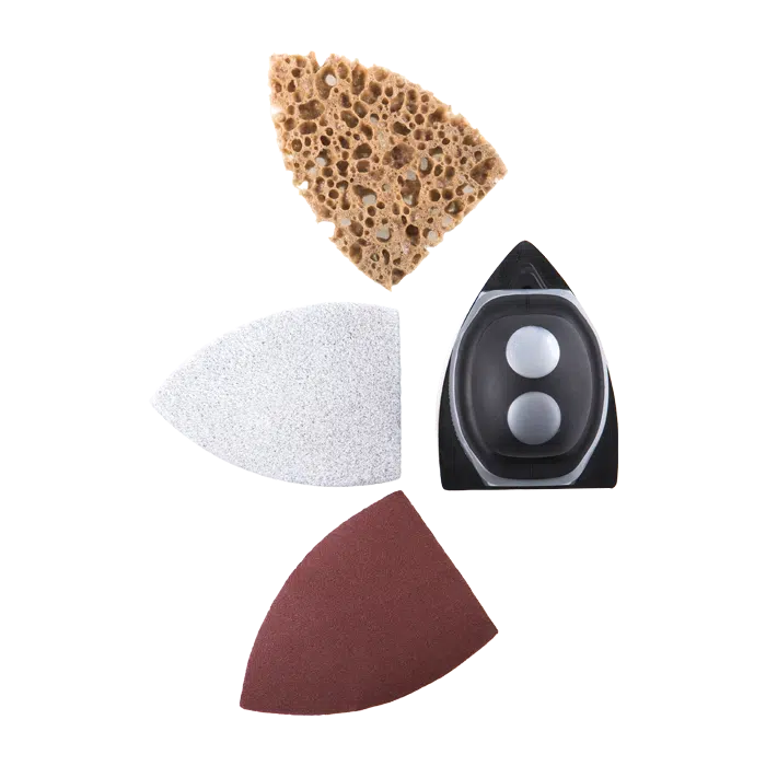 חיפושית צבע