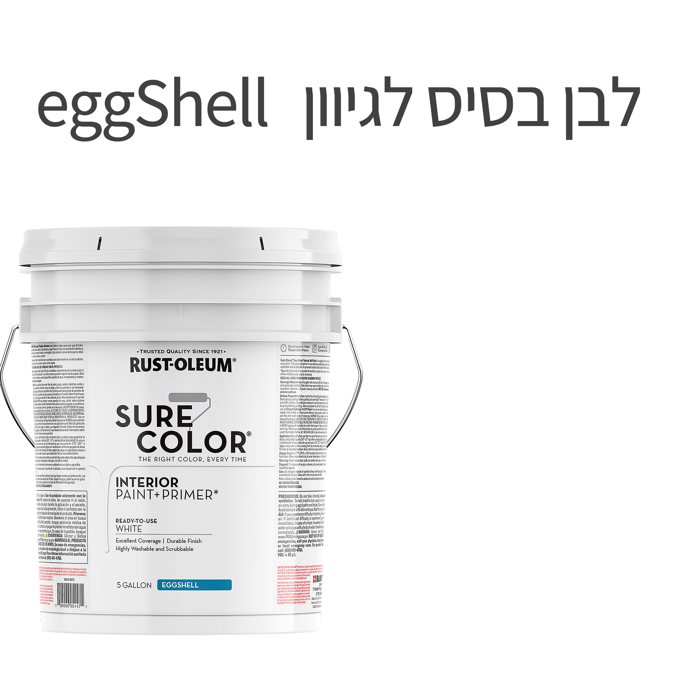 צבע לקירות פנים SURE COLOR
