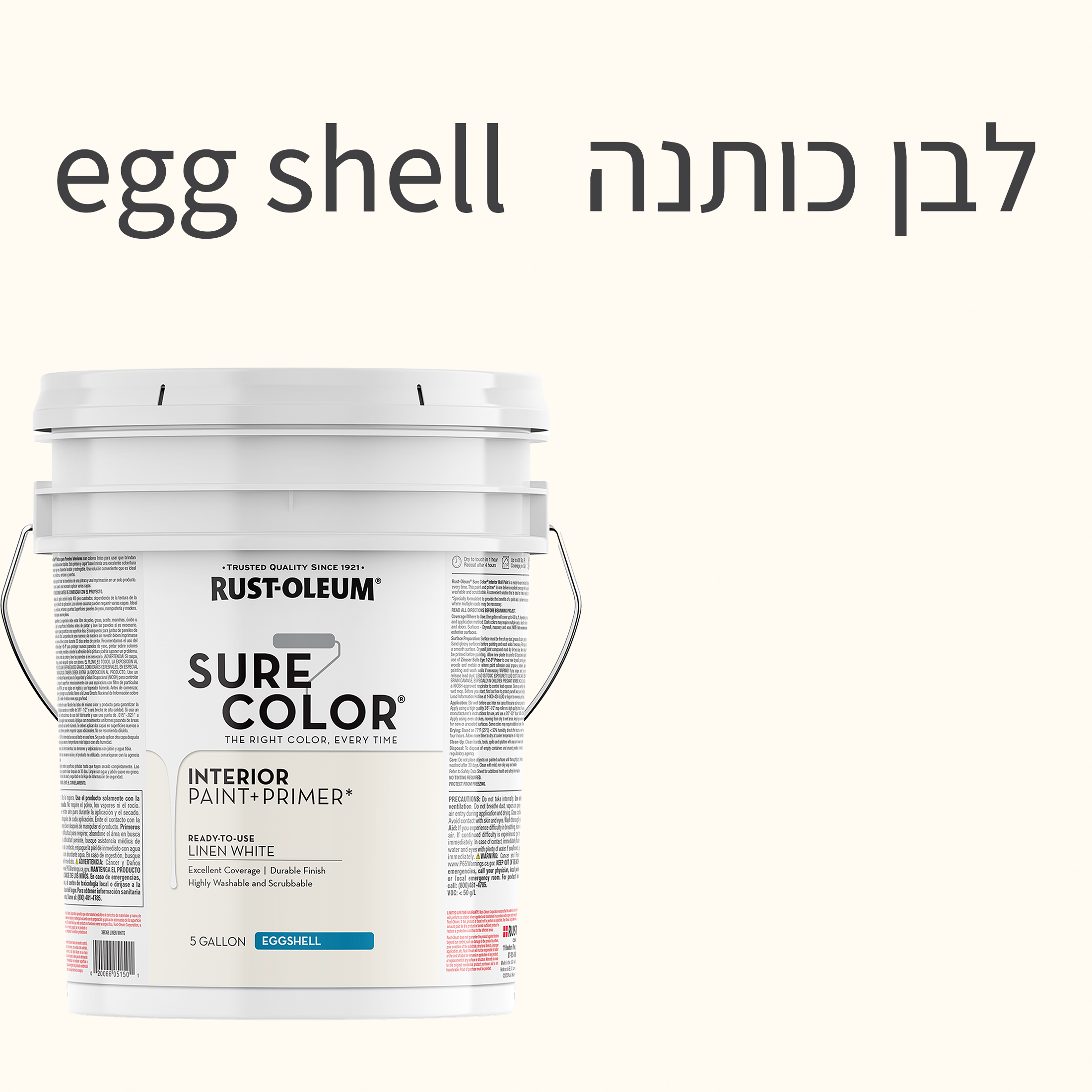 צבע לקירות פנים SURE COLOR