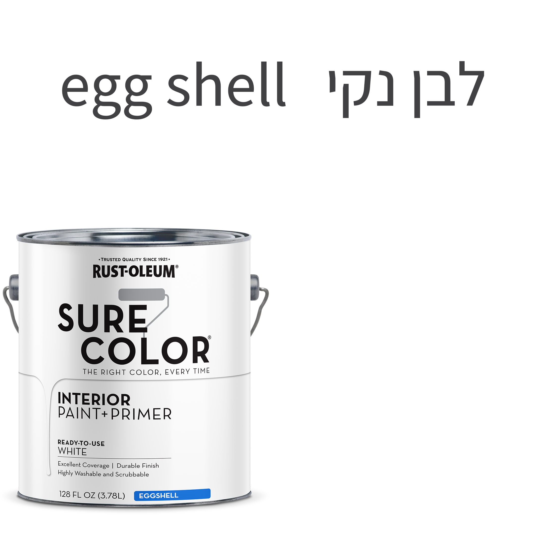 צבע לקירות פנים SURE COLOR