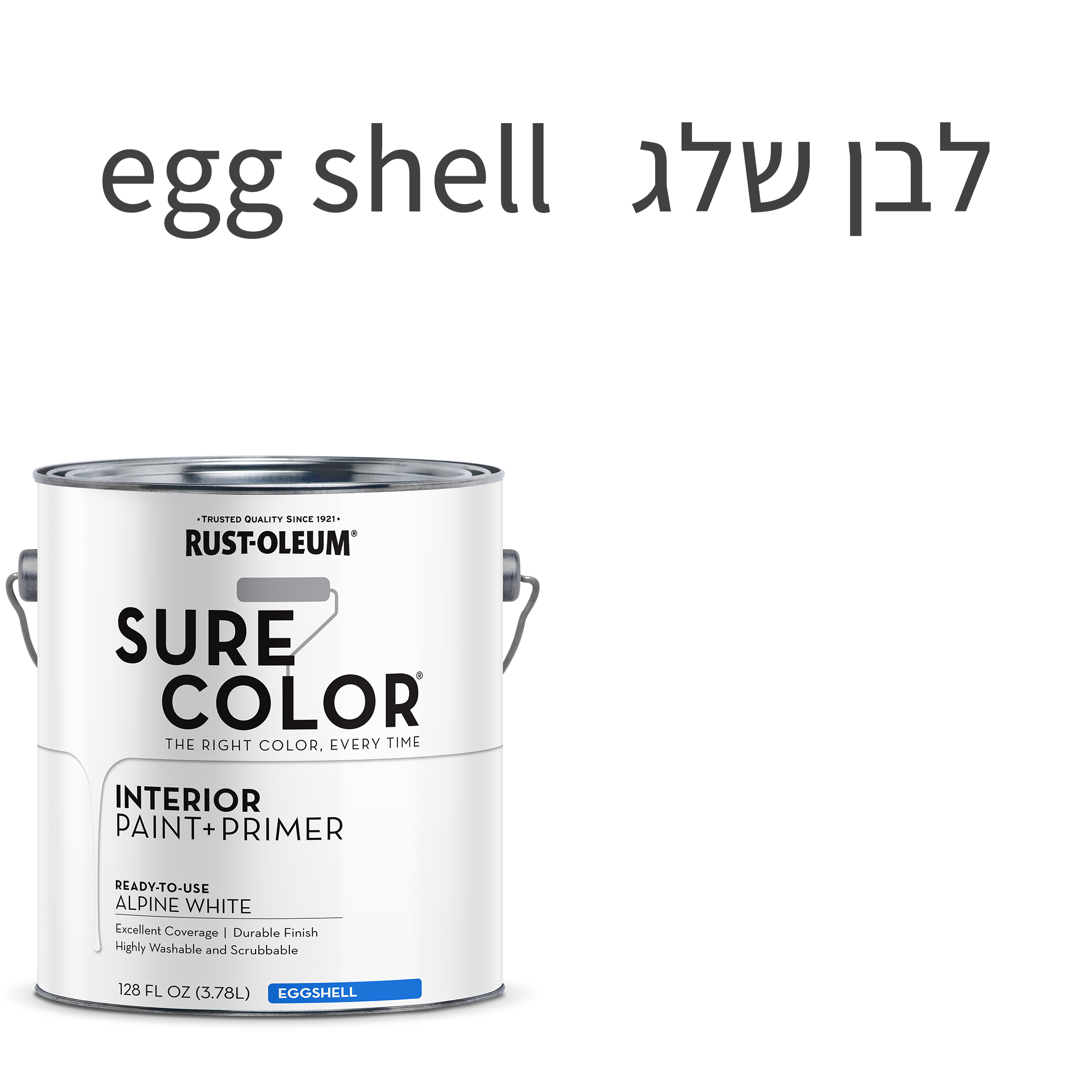 צבע לקירות פנים SURE COLOR