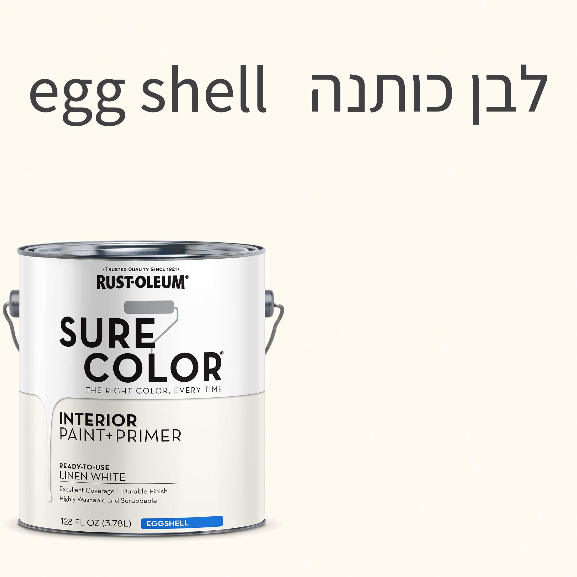 צבע לקירות פנים SURE COLOR