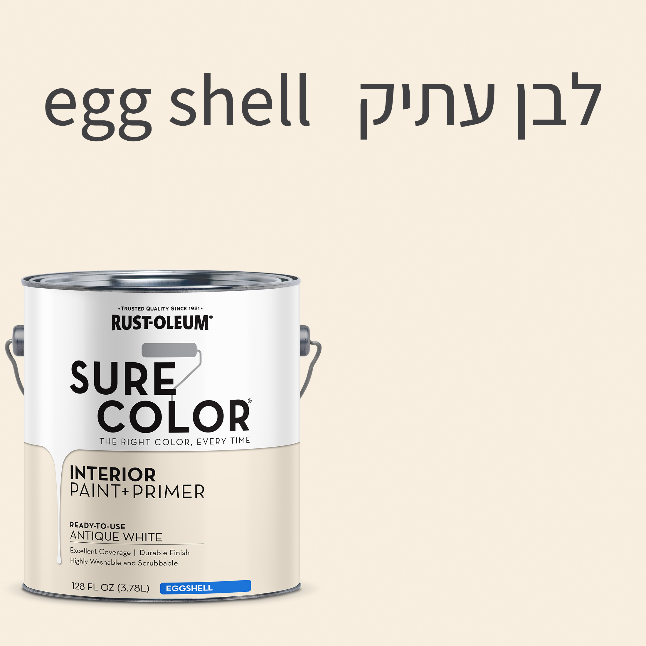 צבע לקירות פנים SURE COLOR